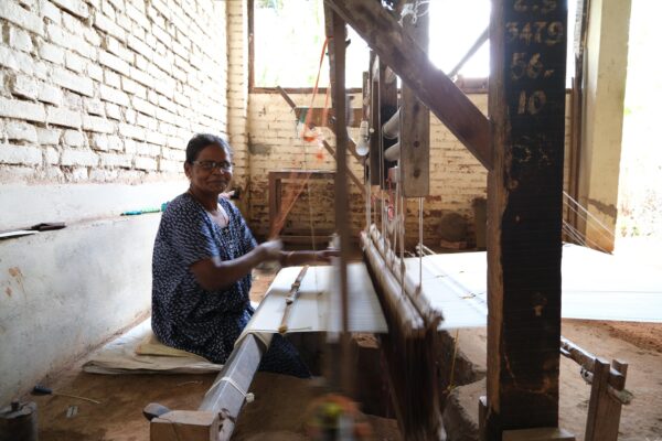 Handloom Saree with Golden & Olive Green Border