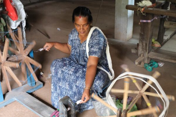 Handloom Saree with Golden & Olive Green Border