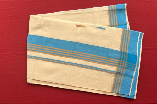 Handloom Saree with Blue Border
