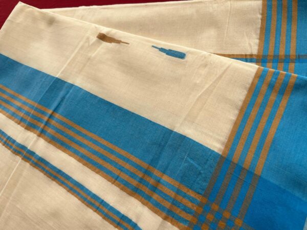 Handloom Saree with Blue Border